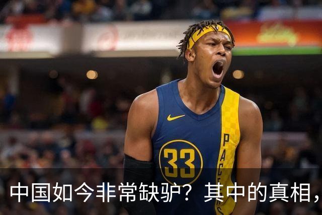 中国如今非常缺驴？其中的真相，比你想象的还要荒诞得多