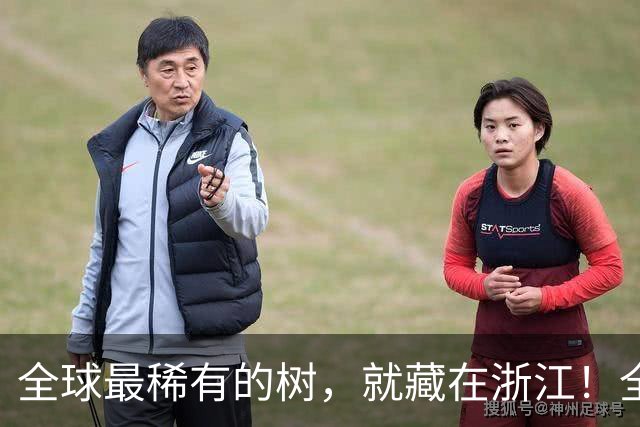 全球最稀有的树，就藏在浙江！全球仅剩一株，警卫365天日夜看守