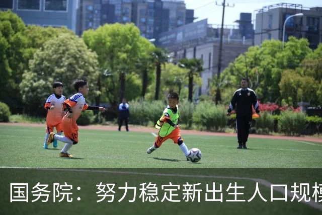 国务院：努力稳定新出生人口规模