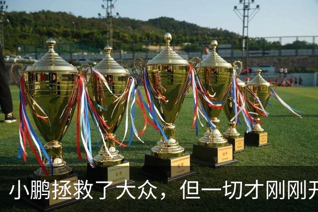 小鹏拯救了大众，但一切才刚刚开始