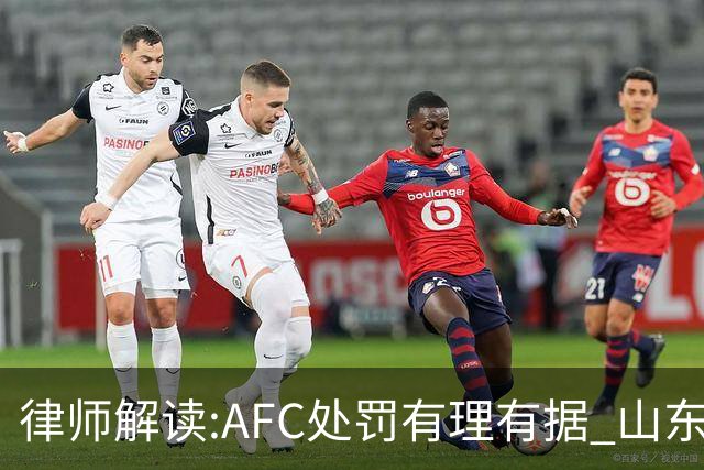 律师解读:AFC处罚有理有据 山东基本确定无缘亚冠