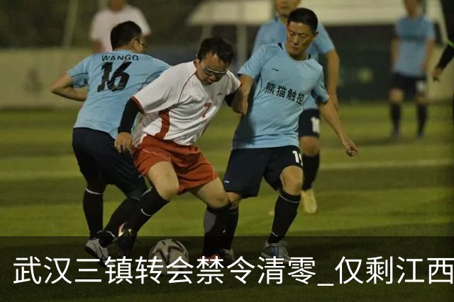 武汉三镇转会禁令清零 仅剩江西庐山还存在转会注册禁令