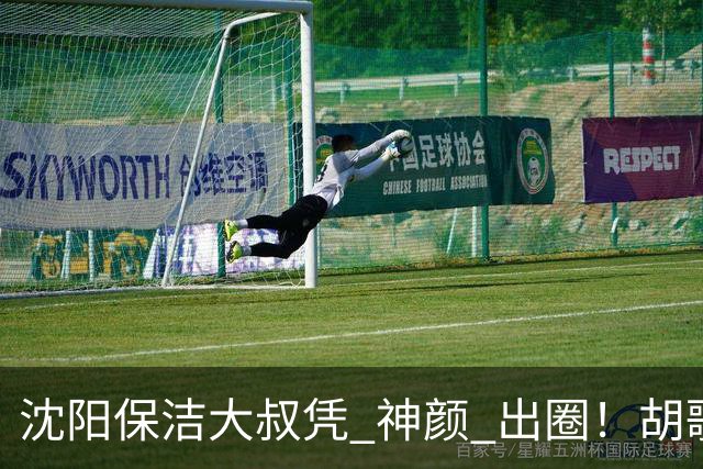 沈阳保洁大叔凭 "神颜" 出圈！胡歌高伟光全被点名，本尊回应绝了
