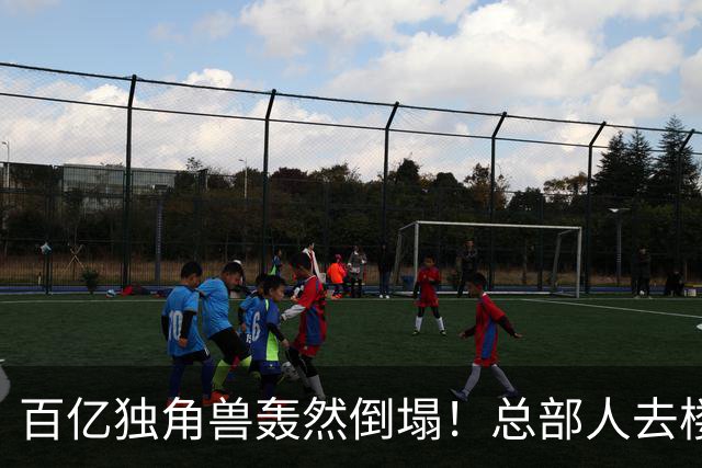 百亿独角兽轰然倒塌！总部人去楼空
