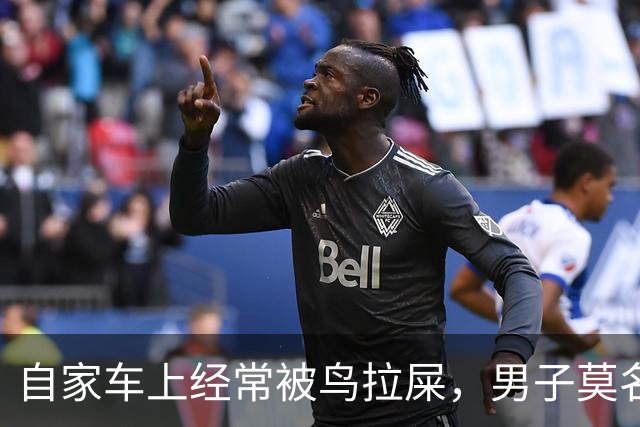 自家车上经常被鸟拉屎，男子莫名确诊肺炎，医生：不是个例，已有数例此类患者