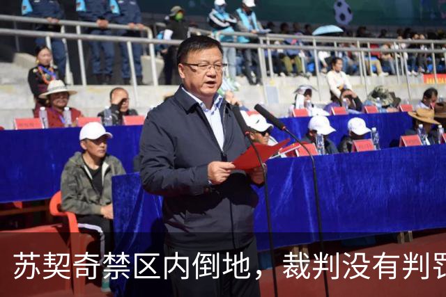 苏契奇禁区内倒地，裁判没有判罚