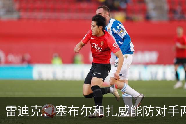 雷迪克：塞布尔&扎威能防对手两大进攻核心 为东契奇&里夫斯减负